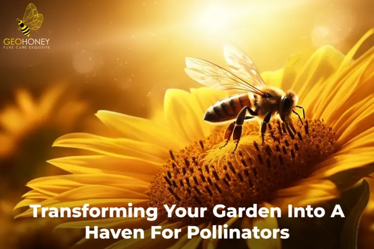 Transforming Your Vegetable Garden into Haven for Pollinators